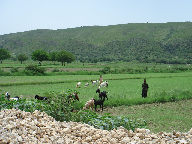 Soon Valley Khushab, Punjab