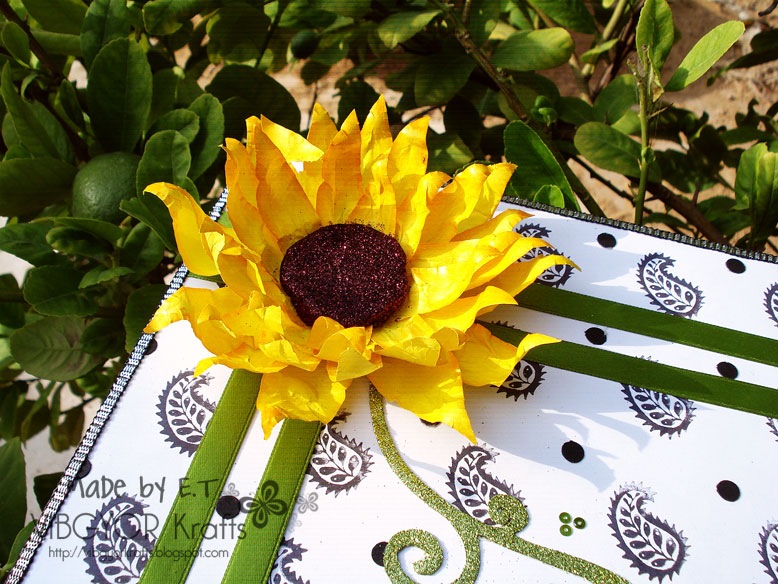 DSC02643