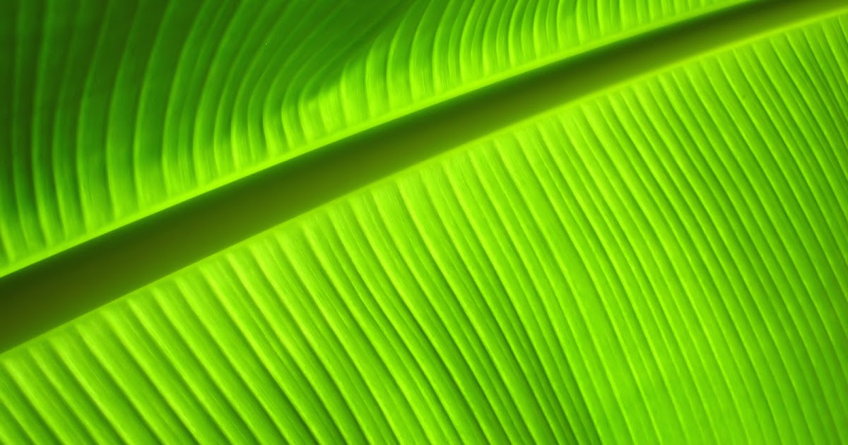 SweeT SouR :: Klik! Klik! Ceritaku!: berbungkus DAUN PISANG