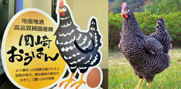 產地達人教你吃