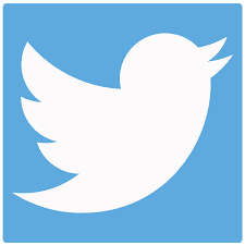 حذف حساب Twitter على "توقف مؤقت" بعد الاحتجاج