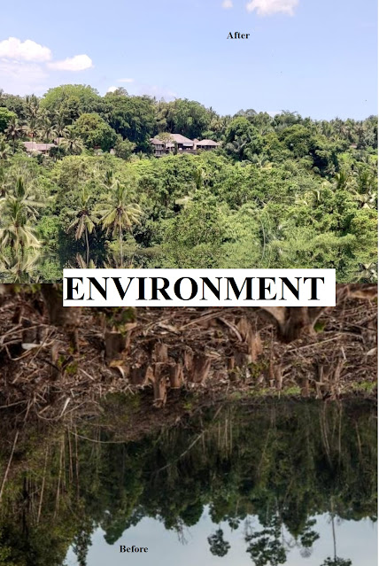 Key Environmental Issues