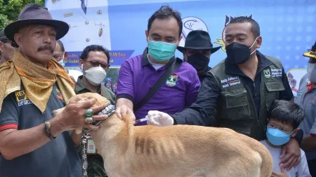 Berantas Rabies, Pemprov Sumbar Gandeng Organisasi Buru Babi