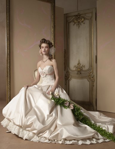 Wedding Gown Fashion 