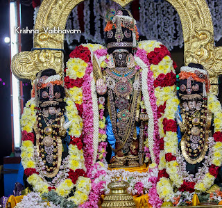 Theppotsavam,Seriya Ther,Day 02,Vaibhavam,Dharisanam, Sri PArthasarathy Perumal, Perumal, Venkata Krishna , Varushotsavam, 2018, Video, Divya Prabhandam,Triplicane,Thiruvallikeni,Utsavam,