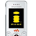 Sony Ericsson W580im