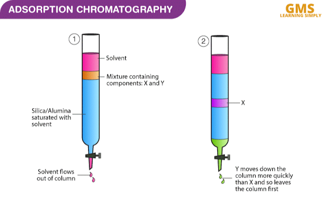 Adsorption Chromatography - Principle, Procedure, Experiment, Application, Types of Adsorption Chromatography and FAQs