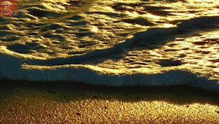 Foto de Pedro von Sydow intitulada: Beira mar. Foco nas ondulações de espuma prateada que esparrama-se sobre a areia beira mar dourada pelos últimos raios do sol.