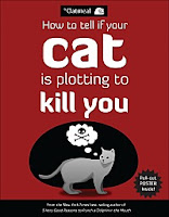 How to Tell If Your Cat Is Plotting to Kill You