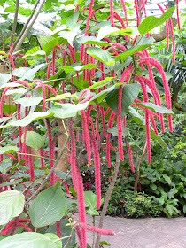 Butterfly Garden Artis