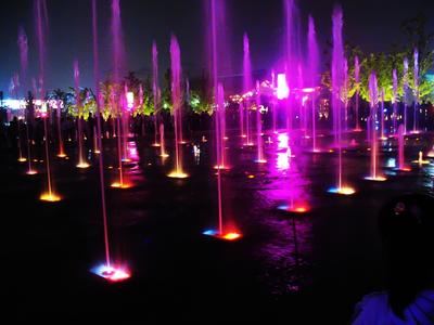 IMG_0232_a.jpg