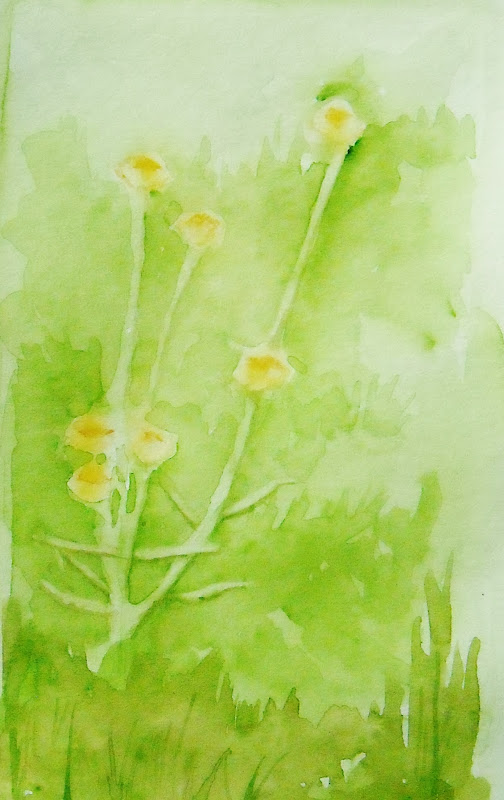 Watercolor Painting of Wildflowers title=