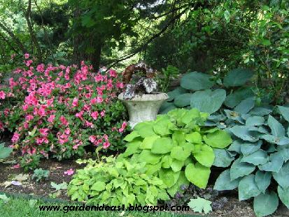 Shade Garden Ideas