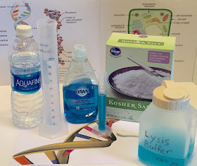 DNA Extraction STEAM Program