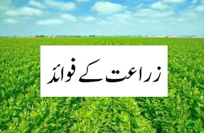 Benefits of agriculture in Urdu زراعت کے فوائد