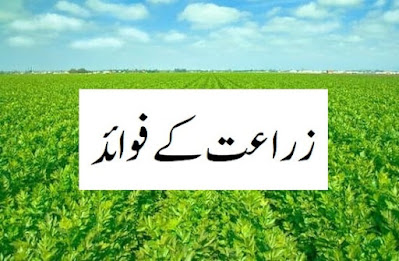 Benefits of agriculture in urdu زراعت کے فوائد