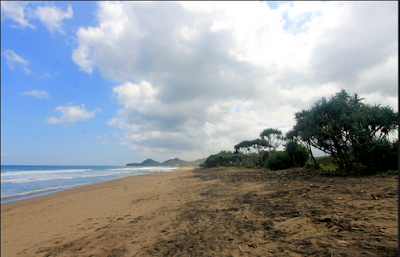 wisata pantai di malang