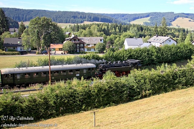 Titisee