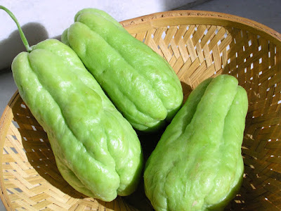 Amazing Health Benefits of Chayote (Vegetable Pear) for your body and beauty