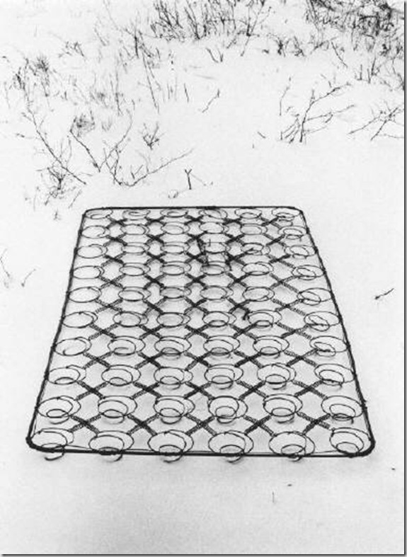 clip_image029