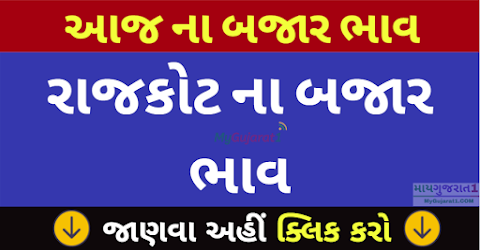 આજના રાજકોટ ખેતીવાડી ઉત્પન્ન બજાર સમિતીના ભાવ