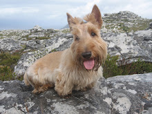 My late and so much lamented big brother
