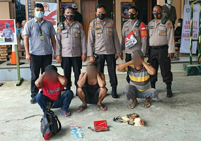 Main Judi Sabung Ayam di Pasar Yotefa, 3 Pria Diamankan Polisi