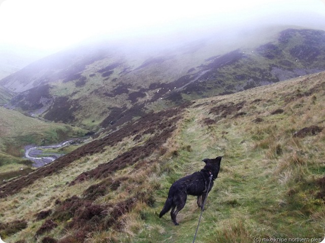 bruno at burntod gill