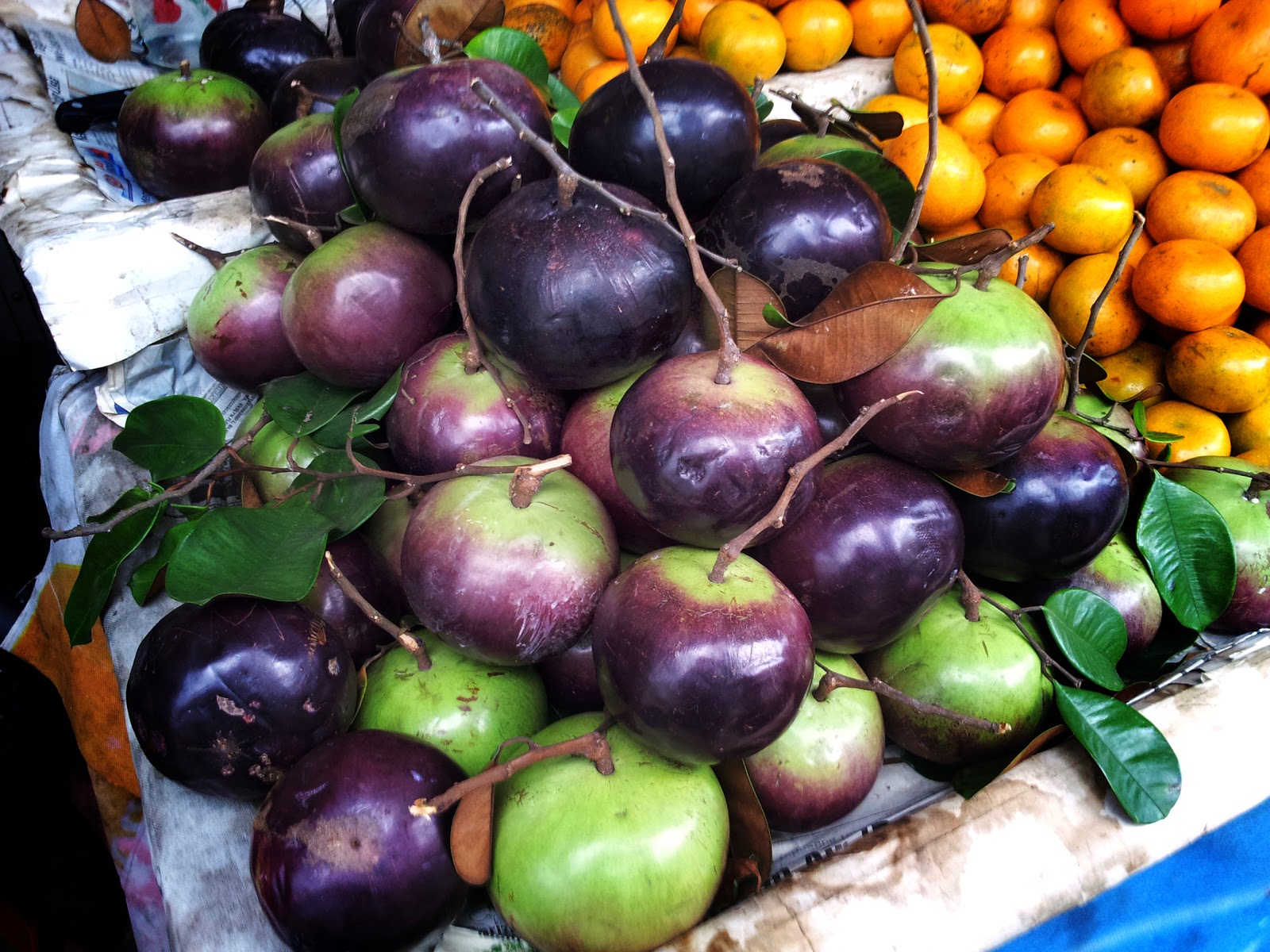 Catatan Kecil Tentang Buah  Kenitu Sawo Duren