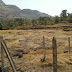 Sakadbhau Village 200 Acres Agricultural Plot For sale Sakadbhau Village,Shahpur nasik highway, Maharashtra