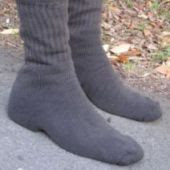 http://sciencelearn.org.nz/Science-Stories/Seeds-Stems-and-Spores/Woolly-sock-walk