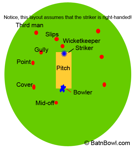 Cricket Details