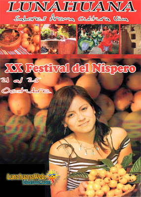 Afiche del Festival Nispero 2009