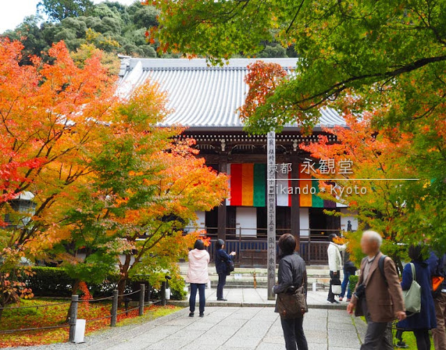 永観堂：御影堂の紅葉