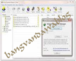 download idm 6.12 build 21 full pacth gratis