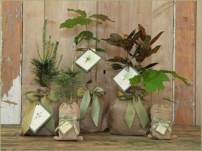 Tree Wedding Favors