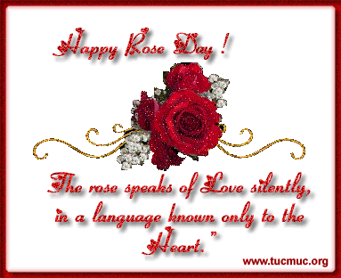 Happy Rose Day Pictures 2014- White,pink Red Rose Images