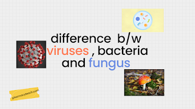 Difference between Viruses, Bacteria, and Fungi || pharmacyteach.com