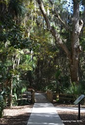 Nature Walk