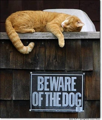 Funny Quotes For Kids. funny funny quotes for kids. Funny Quotes For Kids. funny