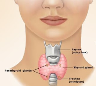 THYROID  IN HINDI