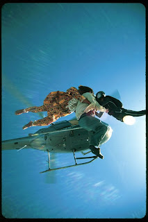 Skydivers Pictures