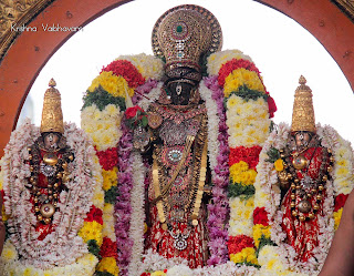 Rathasapthami,Soorya PRabhai, UTsavam,Dharisanam, Sri PArthasarathy Perumal, Perumal, Venkata Krishna , Varushotsavam, 2018, Video, Divya Prabhandam,Triplicane,Thiruvallikeni,