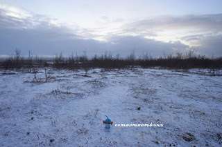 アイスランド　ゲイシール　遊歩道　雪景色　積雪　冬