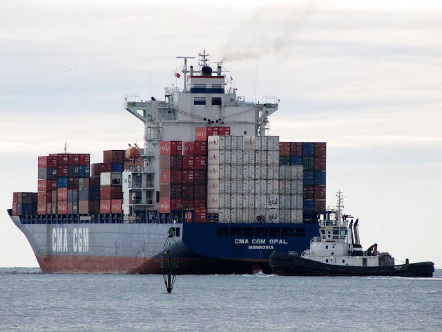 CMA CGM Opal, Piero Neri, Livorno