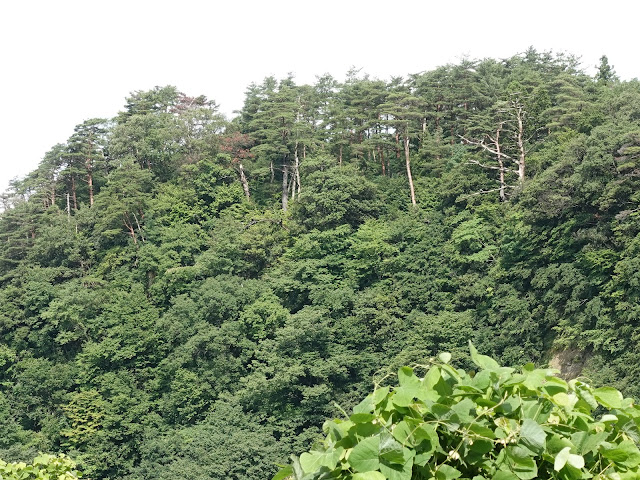 鳥取県西伯郡伯耆町福兼　福兼展望台からの眺望