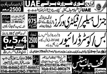 General Helper & Coaster Driver Jobs 2023 in UAE