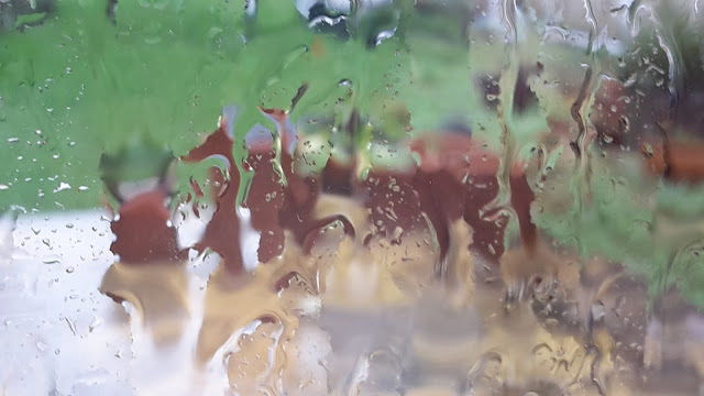 Project 366 2016 day 39 - Rainy Monday // 76sunflowers