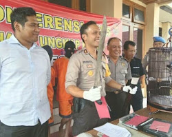 Kriminalitas di Kabupaten Ngawi