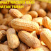 6 Manfaat Kacang yang Berguna Bagi Kesehatan Tubuh Manusia